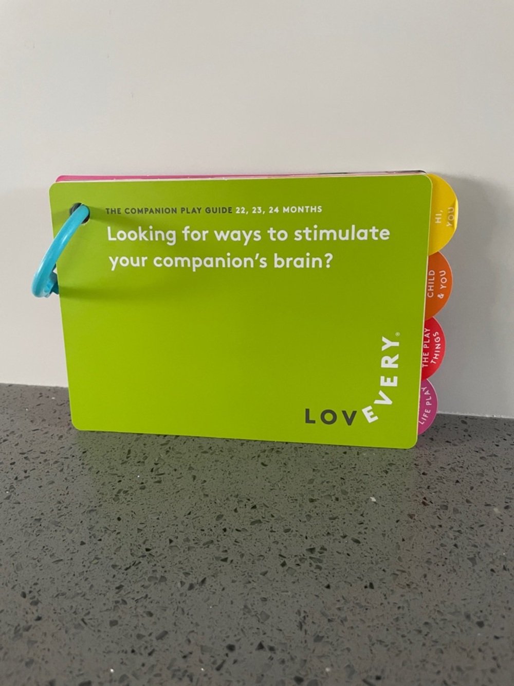 Lovevery ‘The Companion’ Play Guide